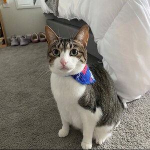 Buffalo Bills Cat Bandana slides Onto Cats Existing Collar - Etsy