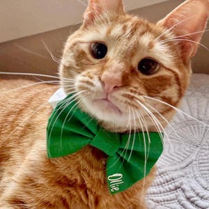 Name on Solid Color Bow Tie: For Dogs + Cats (slides onto any pet's existing collar) Personalized Dog Bow Tie, Name on Bow Tie, Cat Bow Tie