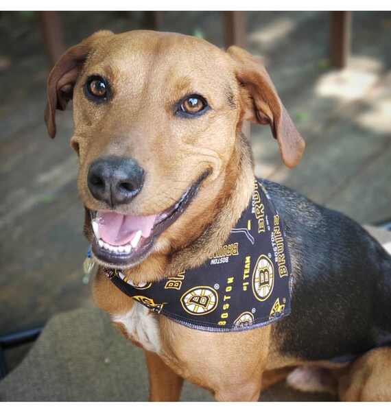 Cotton Large Boston Bruins Dog Bandana