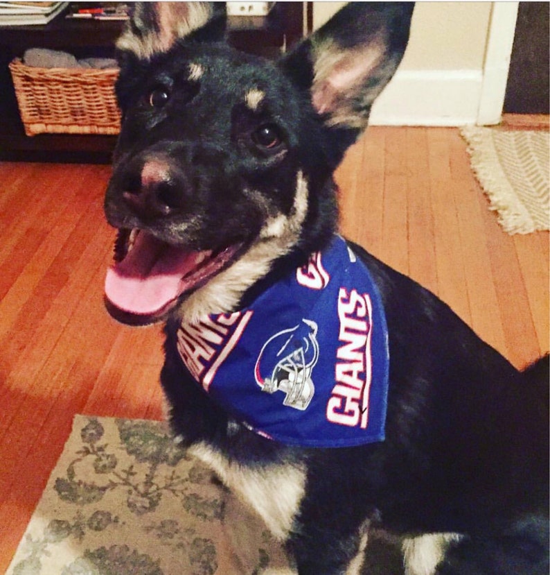 houston texans dog jersey