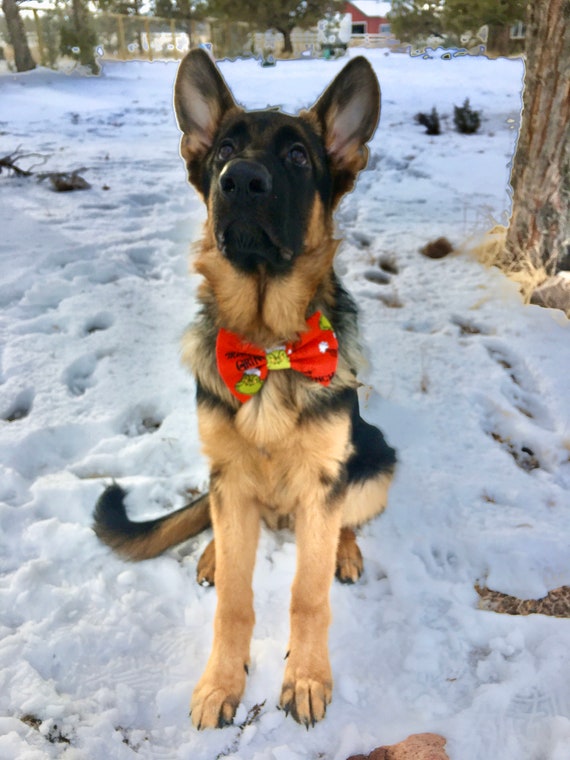 The Grinch Christmas Dog Cat Bow Tie slides Onto Pet s Existing Collar Made With Elastic Closure Etsy Canada