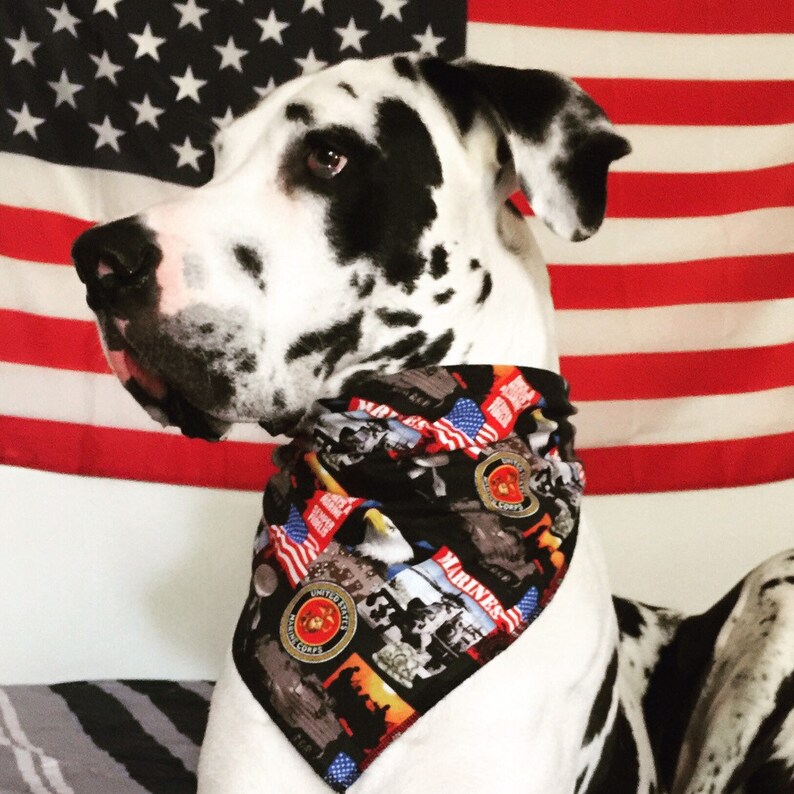 gps dog training collar