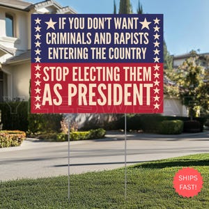 Anti Trump Yard Sign with Stake, Save Democracy Garden Sign, Political Protest Decor, Humane Government Equality Outdoor Banner