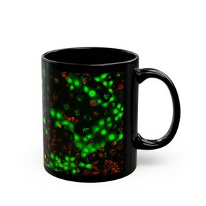 Live or Dead Cells Fluorescence Microscopy Mug, Science Coffee Cup, Unique Gift for Science Lovers, Art Lovers