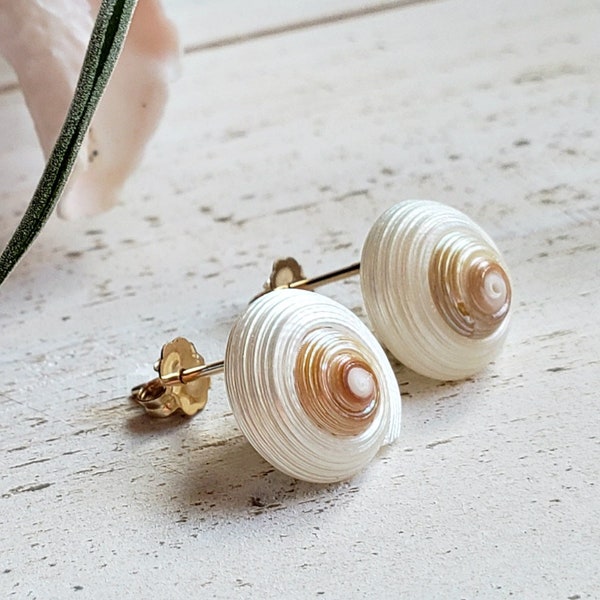 Spiral Shell Stud Earrings, Beach Shell Studs, Iridescent Shell Earrings, Nautical Post Earrings