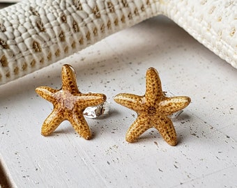 Pendientes de estrella de mar delicados, pendientes de estrella de mar, pendientes de concha, pendientes de estrella de mar real: aproximadamente 3/8 - 3/4 pulgadas, 1 - 1,9 cm E1008