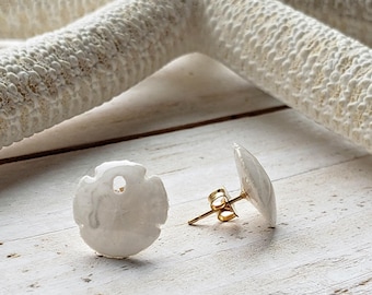 Winzige Sanddollar Ohrstecker, echte Muschel Ohrstecker, echte Sanddollar Ohrringe