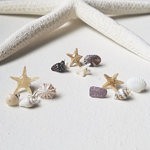 Peut inclure: Assortiment de boucles d'oreilles en coquillages et étoiles de mer. Les boucles d'oreilles sont faites de coquillages et d'étoiles de mer naturels, et elles sont toutes de formes et de tailles différentes. Les boucles d'oreilles sont un excellent moyen d'ajouter une touche de plage à votre style.