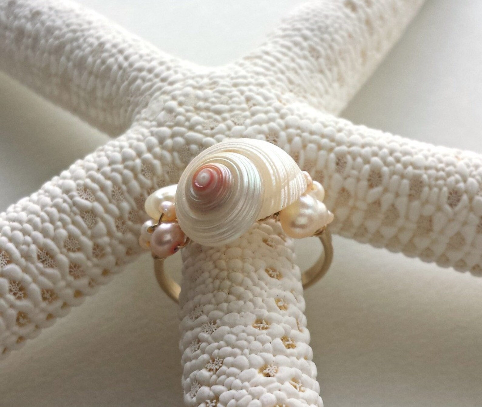 Adjustable Shell Ring Wire Beach Ring Seashell Ring Pink Etsy