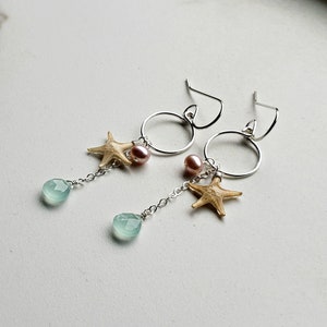 starfish