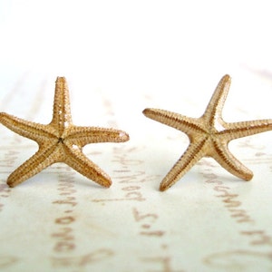 Real Starfish Stud Earrings, Starfish Earrings, Beach Earrings, Tiny Starfish, 3/4 to 7/8 inch:  The Dancing Sisters