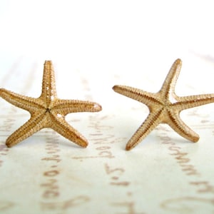 May include: Two dried starfish with a light tan color and textured surfaces. The starfish are positioned on a light-colored background with faint, blurred text. The image evokes a beach or coastal theme.