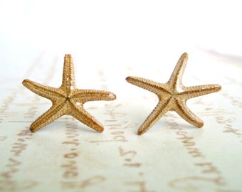 Puede incluir: Dos estrellas de mar secas, de color marrón claro y con superficies texturizadas. Están colocadas sobre un fondo claro con texto borroso y tenue. La imagen evoca un tema de playa o costero.
