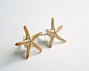 Pendientes de estrella de mar pequeños, pendientes de estrella de mar real, pendientes de playa pequeños, 3/8-5/8 pulgadas, 1-1,6 cm: Starfish Butts