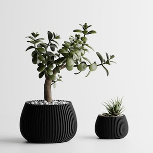 Vase Modern Ribbed Planter Series 4 | Minimalist 3D Printed Pot for Succulents & Shelves | Home Decor Gift
