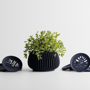 Puede incluir: Una maceta acanalada azul marino con una planta verde y varios platillos azul marino a juego. Los platillos tienen un diseño decorativo recortado. La maceta y los platillos están sobre una superficie blanca.