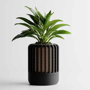 Peut inclure: Une plante en pot avec des feuilles vertes vives. La plante est dans un pot cylindrique noir avec des découpes verticales révélant un intérieur texturé brun clair. Le pot a une base noire unie.