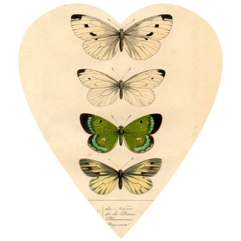 Victorian Heart Clip Art for ATC Altered Heart Art Etsy