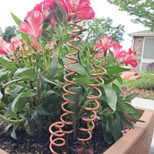 Handmade copper spiral Plant stake - Electroculture - Garden Decoration