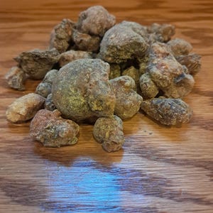 Wild-Harvested Pine Resin | Raw Piñon Sap | 100% Organic Tree Rosin | Natural Pitch | Hand-Collected Forest Resin
