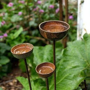 Puede incluir: Tres bebederos rústicos de metal con un acabado marrón desgastado. Cada baño en forma de cuenco contiene agua y está montado sobre una fina varilla vertical. Los bebederos se colocan sobre un fondo de follaje verde y flores rosas.