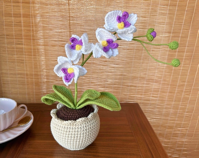 Handmade Moth Orchid Bouquet Vase, Crochet Flower Pot, Gift for Her, Mom, Grandma, Birthday Thank you, Graduation, Teacher Appreciation