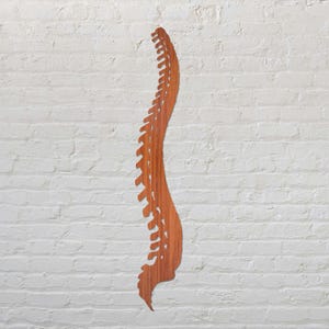 Houten wervelkolom kunst aan de muur, wervelkolom muur hangen, wervelkolom muur decor, menselijke wervelkolom houten muur decor, houten wervelkolom sculptuur, wervelkolom wandsculptuur