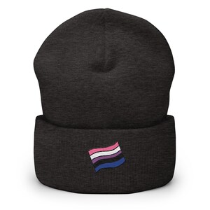May include: A dark grey beanie hat with a folded cuff. The hat has an embroidered flag design in pink, white, purple, blue, and black. A warm and fashionable winter accessory.