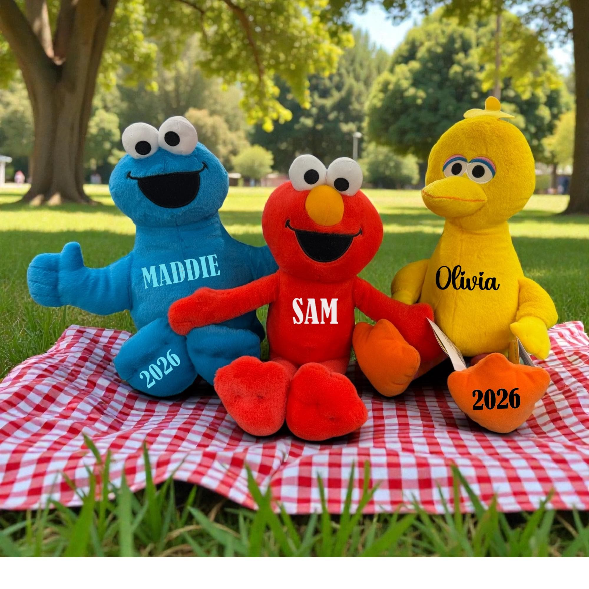 Personalized Sesame Street Graduation Plush, Custom Elmo Cookie Monster ...