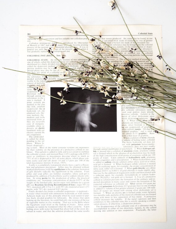 polaroid print abstract wall decor living room decor wall etsy