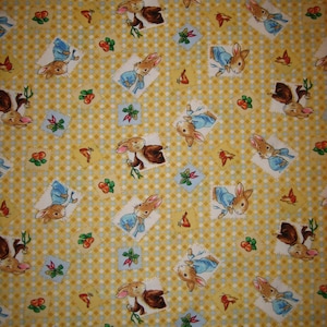 Peter Rabbit and Benjamin Beatrix Potter fabric ( 18 x 44 inches  )