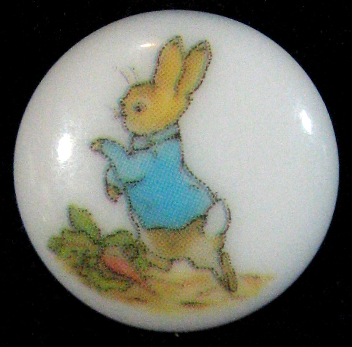 Beatrix Potter Large Buttons, Set of 8 ( 11/16 