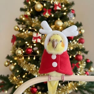 以下が含まれることがあります： 赤いクリスマス用ケープと白いボタン、白いトナカイの角のフードをかぶった黄色のオカメインコ。鳥は、金と赤のオーナメントで飾られたクリスマスツリーの前に止まっています。