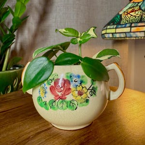 以下が含まれることがあります： クリーム色の、ヴィンテージのティーカッププランター。花柄のデザインで、大きな葉を持つ緑色の植物が入っています。ティーカップには取っ手があり、赤、黄、青の花で飾られています。プランターは木製の表面に置かれています。