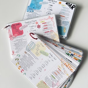 May include: A set of three spiral-bound baby feeding charts with colorful illustrations including butterflies, hot air balloons, and footprints. Each chart features printed text detailing feeding schedules, nutritional information, and growth milestones for infants from birth to one year old.