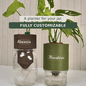 Puede incluir: Dos maceteros de tarro de cristal con inserciones de plástico acanalado. La inserción izquierda es marrón con el texto Alocasia, y la derecha es verde oliva con el texto Monstera. El texto superior dice A planter for your jar. FULLY CUSTOMIZABLE.
