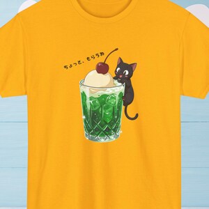 Black Cat with Melon Soda Tee | Kawaii Cat Float Illustration