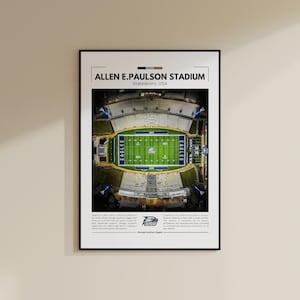 Stampa dello stadio Allen E.Paulson / Poster dei Georgia Southern Eagles / Stampa vintage NFL / Collage di football americano / Stampa artistica da parete / Stampa da viaggio