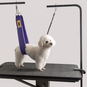 The Belly Band for Dog Grooming