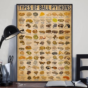 May include: A framed poster titled "TYPES OF BALL PYTHONS" displays numerous images of various ball python morphs. The poster features a grid layout with each image labeled with the python's name, showcasing the diversity in color and pattern.