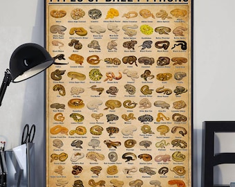 Types Of Ball Pythons Poster, Snake Identification Chart Wall Art, Reptile Keeper Hobby Art Print, Herpetology Gift, Zoologist Wall Decor