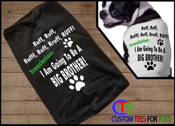 im a big brother dog shirt