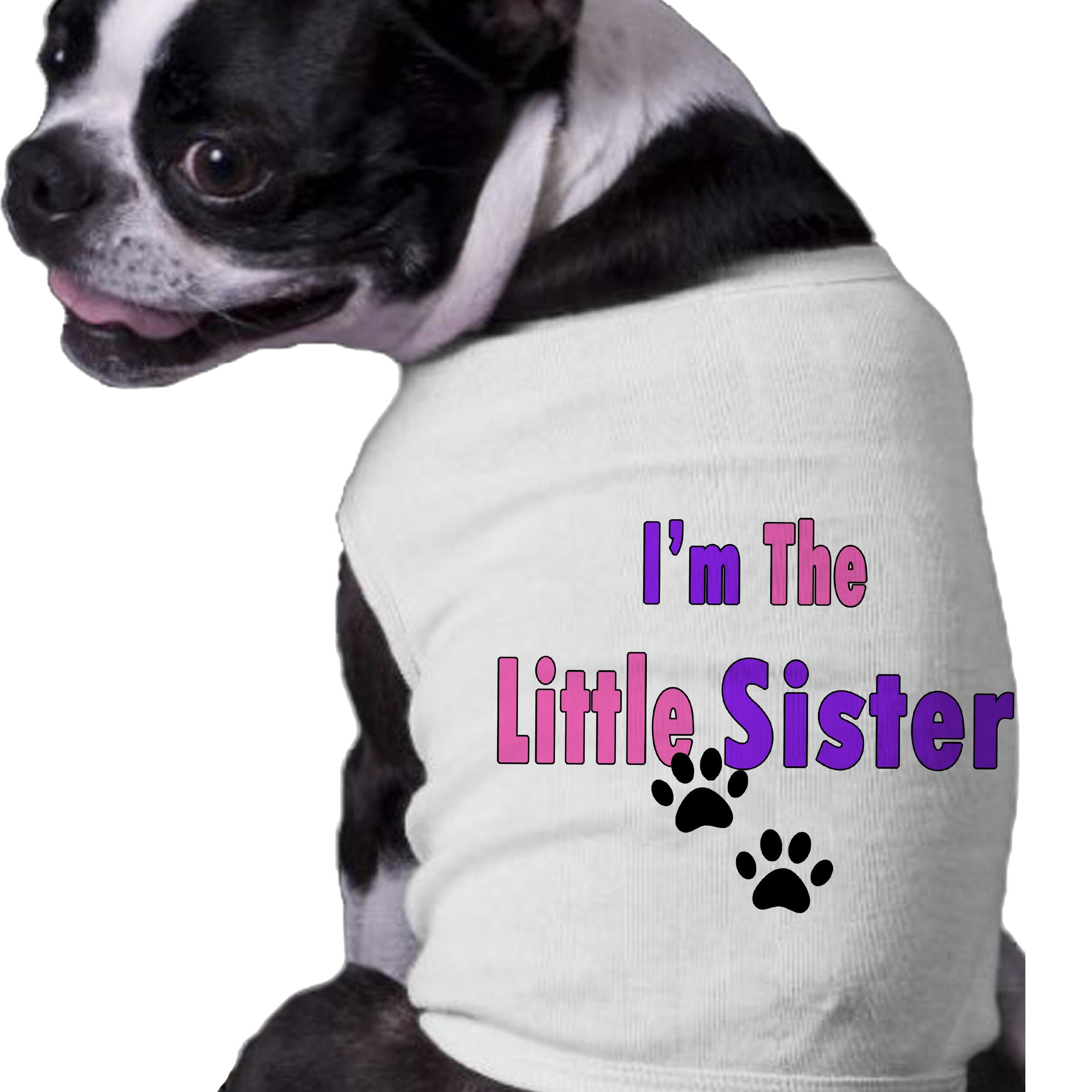 Big sister dog sweater deals