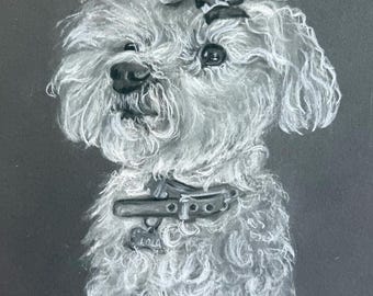 Custom Charcoal Pet Drawing 8”x10” (examples provided)