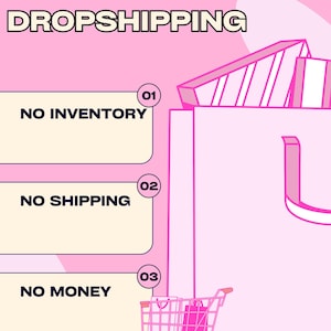 May include: Pink graphic with the word "DROPSHIPPING" in bold letters. The image lists "NO INVENTORY", "NO SHIPPING", and "NO MONEY" with a shopping cart graphic. A business name is at the top.