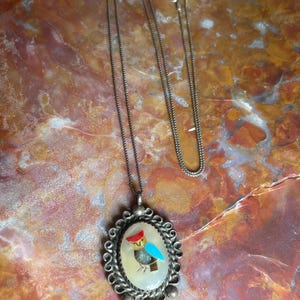 Puede incluir: Collar plateado con un colgante ovalado con un diseño de búho. El búho está representado con detalles rojos, azules y marrones. El colgante está rodeado por un borde decorativo y pequeñas cuentas colgantes.