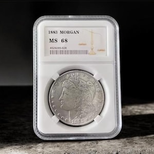 1878 morgan dollar - Etsy 日本