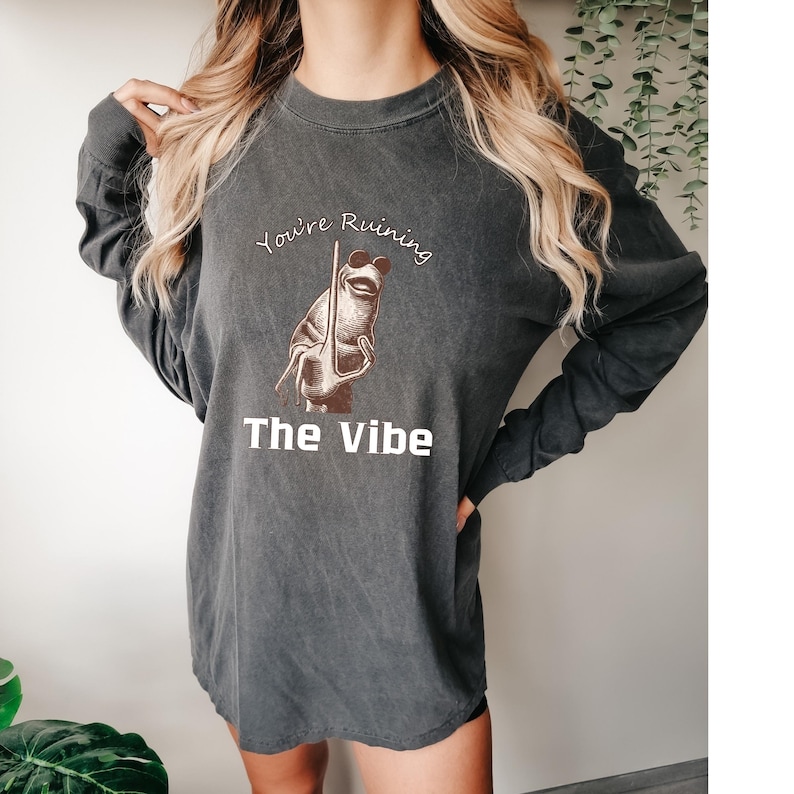May include: Dark gray long-sleeve shirt with a graphic of a frog wearing sunglasses and holding a pole. The text "You're Ruining The Vibe" is above and below the frog illustration.