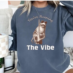 May include: A blue-grey sweatshirt with the text "You're Ruining The Vibe" above and below a frog illustration. The frog is brown and holding a pole. The sweatshirt has long sleeves.