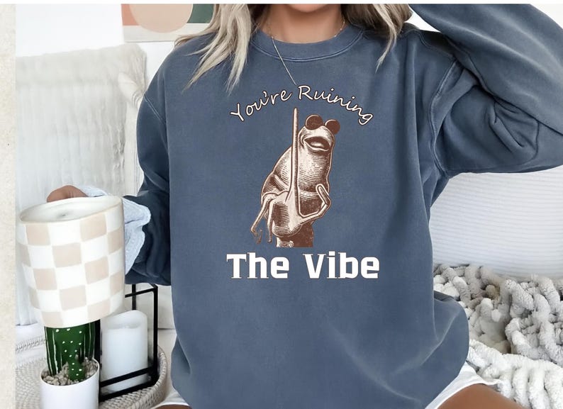 May include: A blue-grey sweatshirt with the text "You're Ruining The Vibe" above and below a frog illustration. The frog is brown and holding a pole. The sweatshirt has long sleeves.